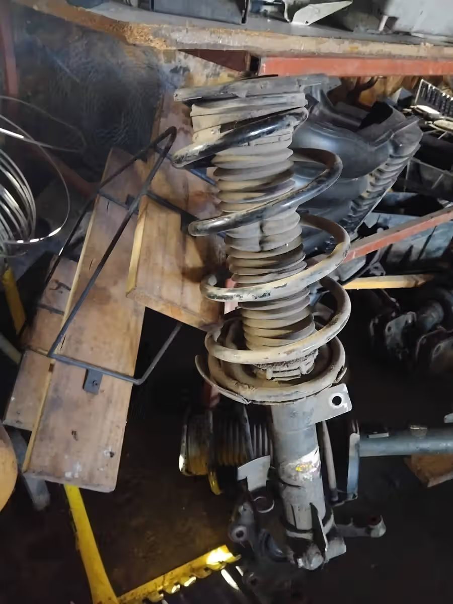 Front Strut & Coil Spring (single) for Volvo